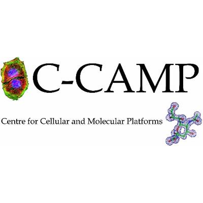 CCAMP